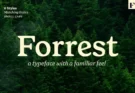 Forrest Friendly Serif Family