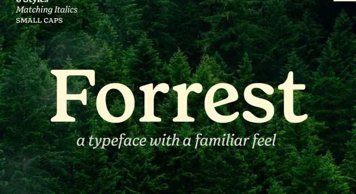 Forrest Friendly Serif Family