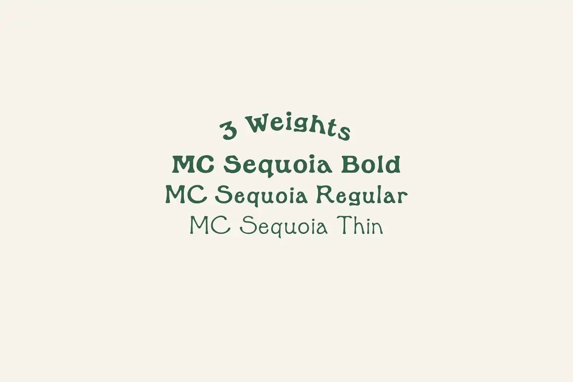 MC Sequoia - Font Family 2