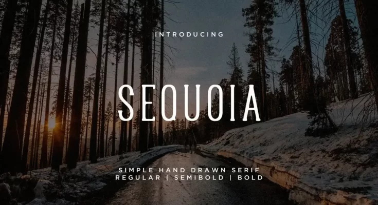 Sequoia Font + Extras