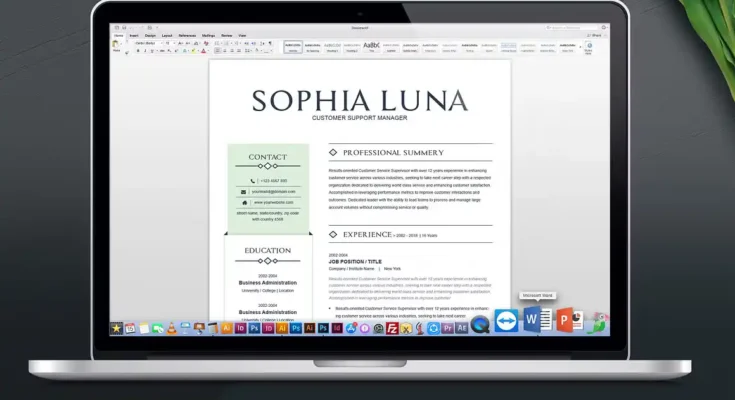 Clean Resume Template MS Word