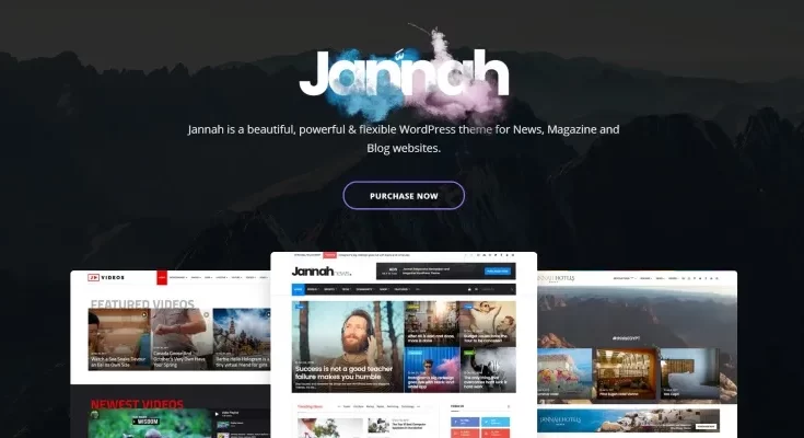 Jannah Newspaper Magazine Theme Review