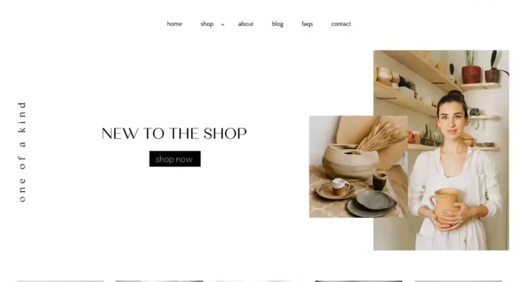 Minimal Shopify Theme Easy to Use