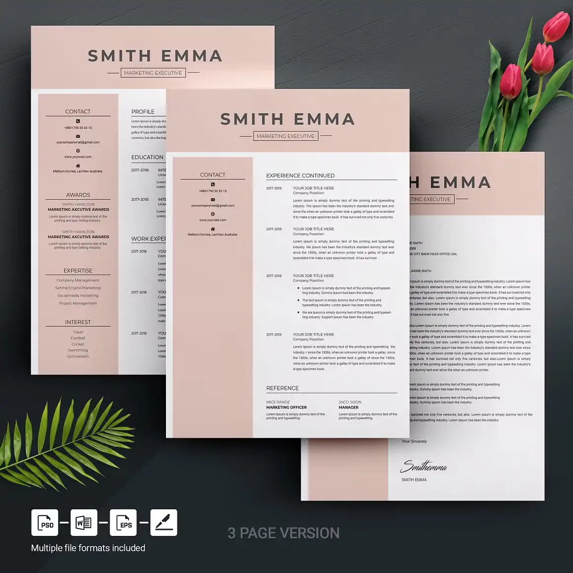 Professional Resume Template 2