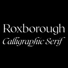 CF Calligraphy Serif Font