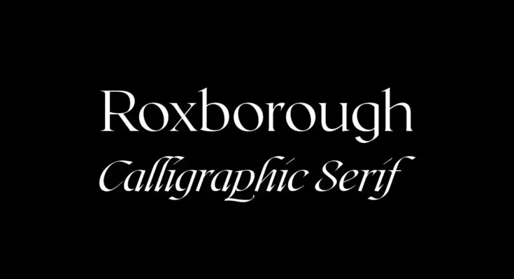 CF Calligraphy Serif Font