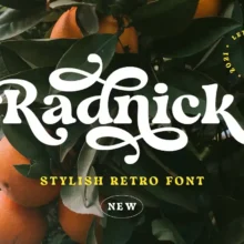 Radnick Stylish Retro Font