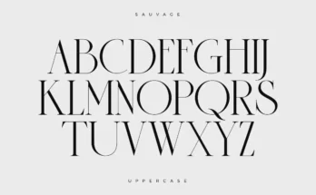 Sauvage Elegant Font Logos