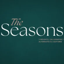 Seasons Serif Font Family