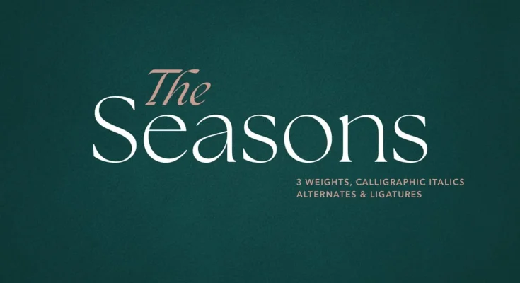 Seasons Serif Font Family