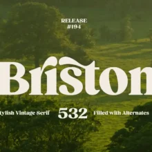 Briston Serif Font