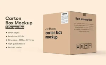 Square Carton Box Mockup