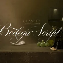 Bodega Script Elegant Wedding Font