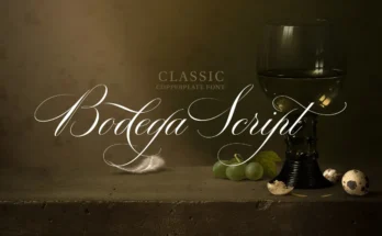 Bodega Script Elegant Wedding Font