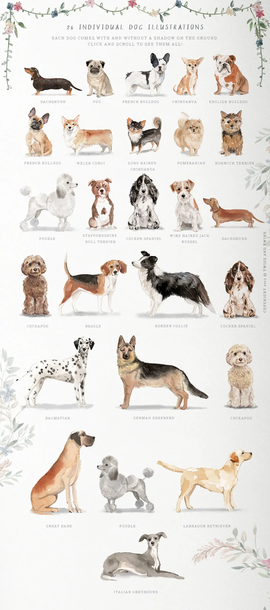 Muddy Paws Dog Clipart