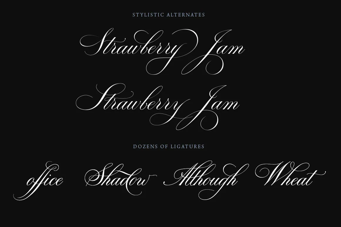 Bodega Script Elegant Wedding Font