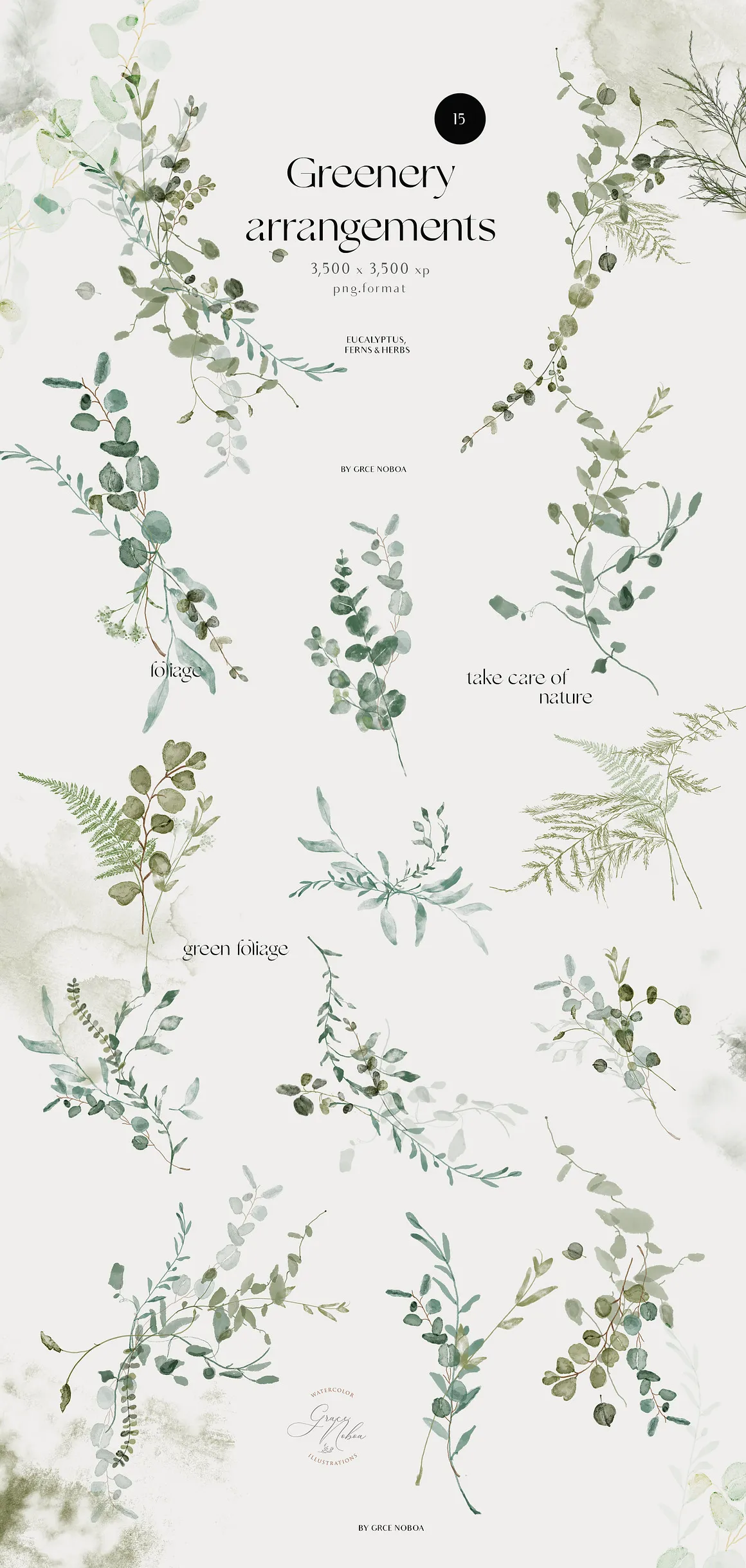 GREEN FOLIAGE