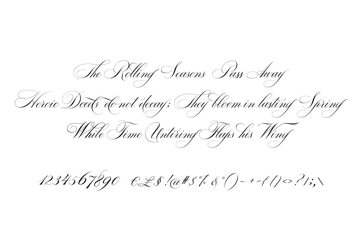 Bodega Script Elegant Wedding Font