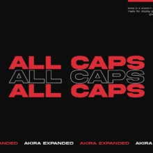 Akira Expanded